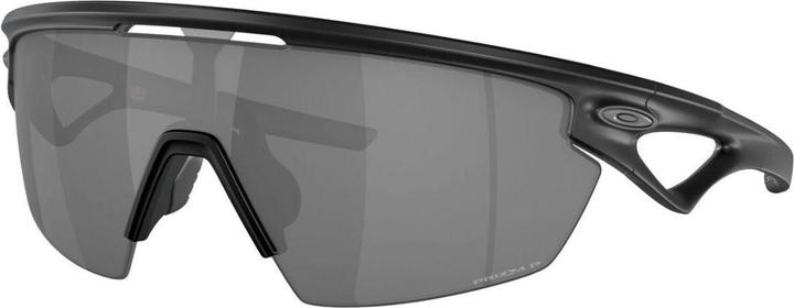 Prizm Black Polarized, Mat Black