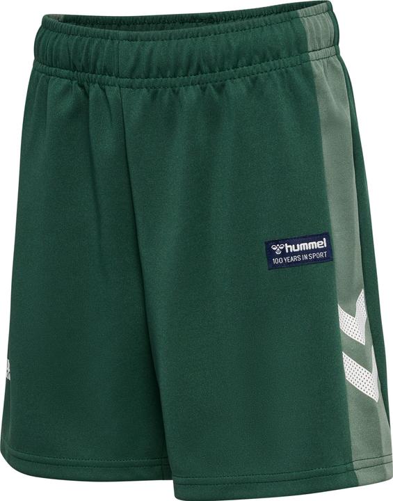 hummel hmlRUPHUS SHORTS (110)