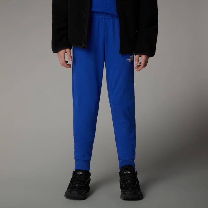 Actual product image North Face Joggers (M)
