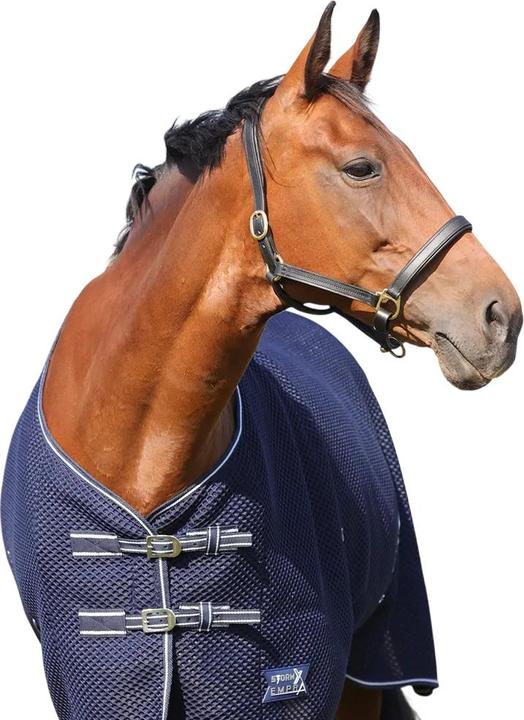Actual product image Storm X Empra Standard-Neck 3D AirFlex Horse Turnout Rug (206 cm)
