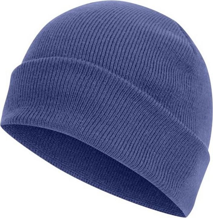 Bleu roi