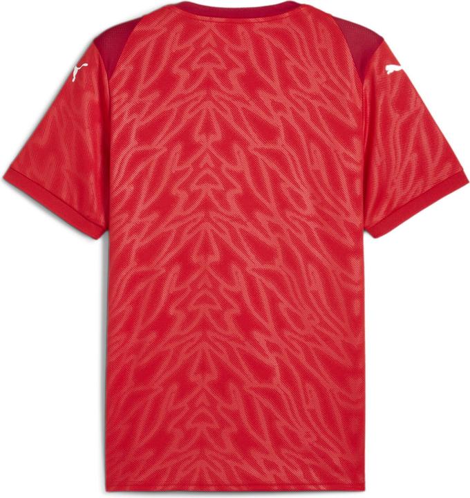 Actual product image Puma teamCUP Jersey (S)