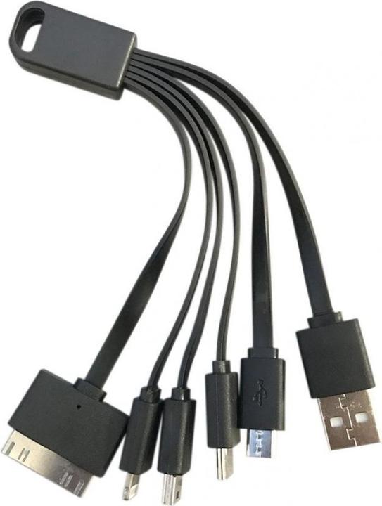 PowerGuard 5-in-1 USB Ladekabel USB-C Lightning Micro Mini 30-Pin (USB 3.0)