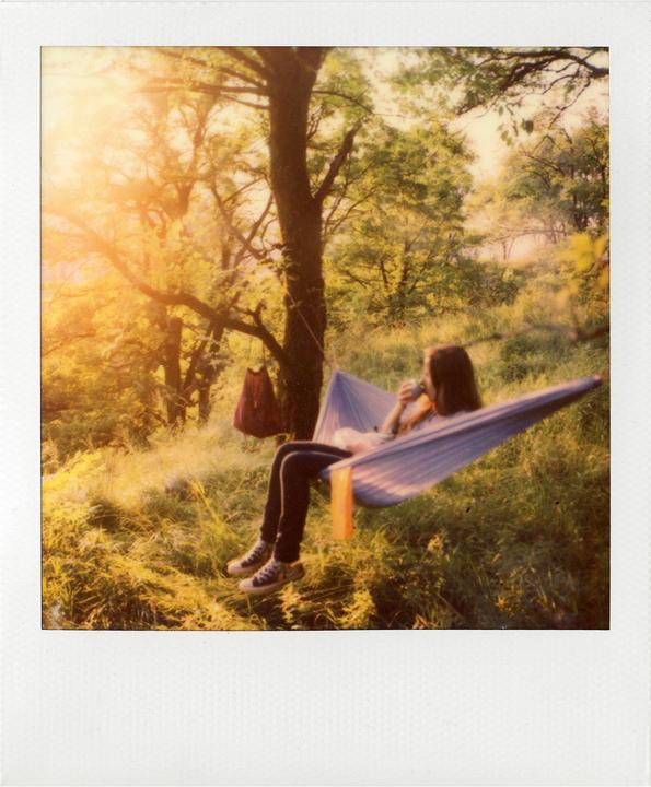 Actual product image Polaroid Color SX-70 Film (SX-70)