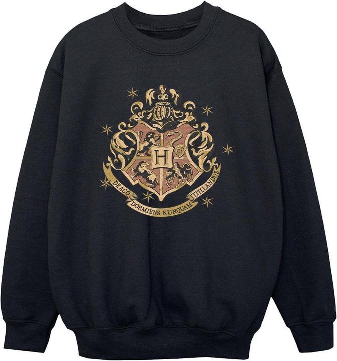 Image du produit - Sweat GOLD HOGWART CREST - Garçon (128)