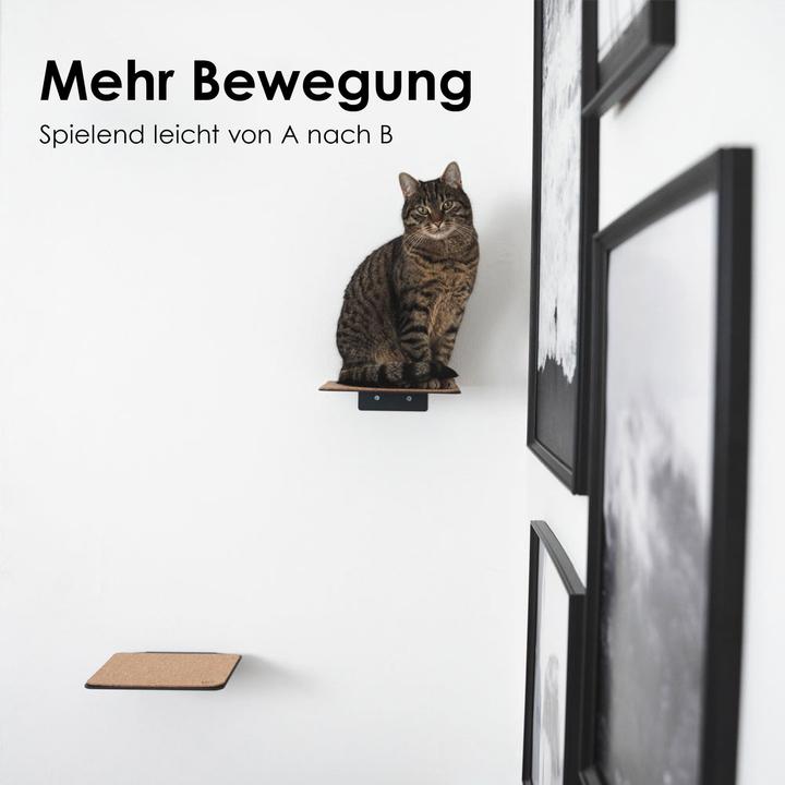 Produktbild LucyBalu STEPS Katzentreppe (5 cm, Weiss - Sand)