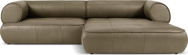 Dark olive green