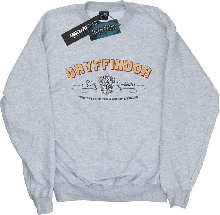 Produktbild Gryffindor Team Quidditch Sweatshirt Jungen (140, 146)