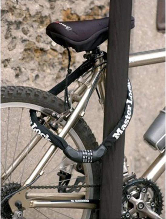 Image du produit Master Lock 8392 Antivol à chaîne (90 cm)