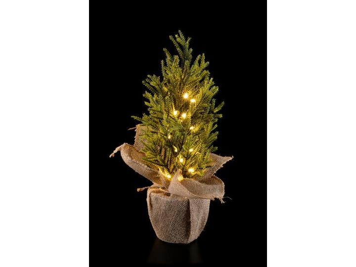 Actual product image STT Nordic Tree