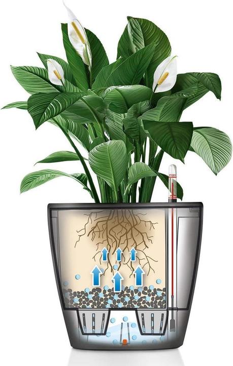 Produktbild Lechuza Classico (22 cm)