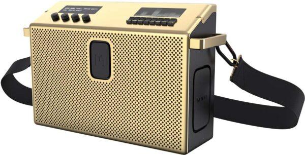 Immagine prodotto Mondo di Defunc Altoparlante Bluetooth grande, oro (8 h)