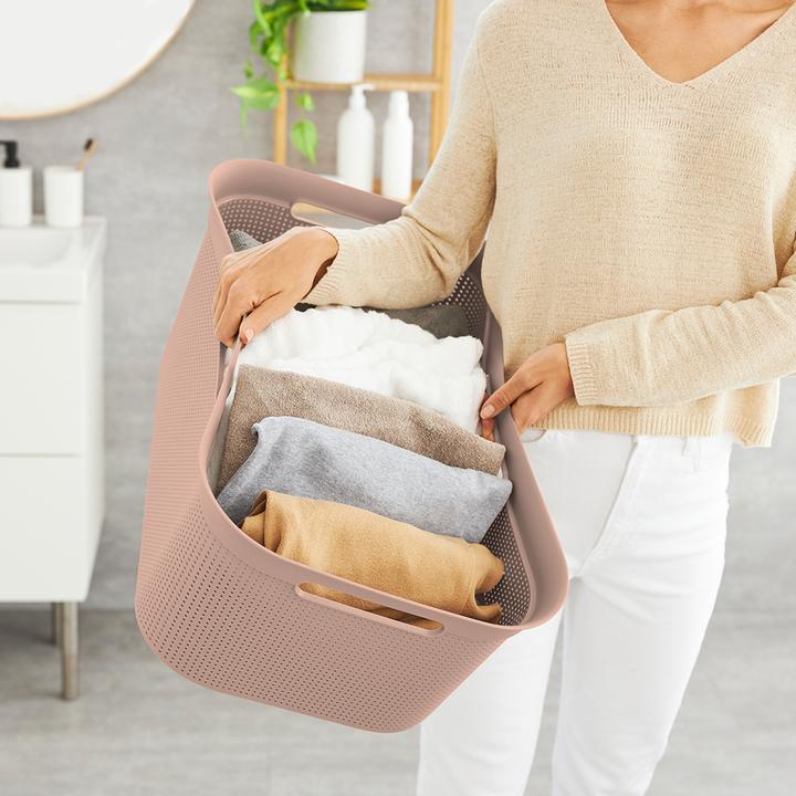 Image du produit Rotho Brises (41 l)