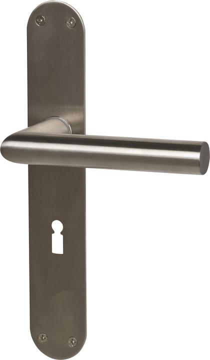 Actual product image Süd-Metall Sursee (Door set)