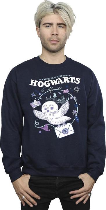 Produktbild Owl Letter From Hogwarts Sweatshirt (S)