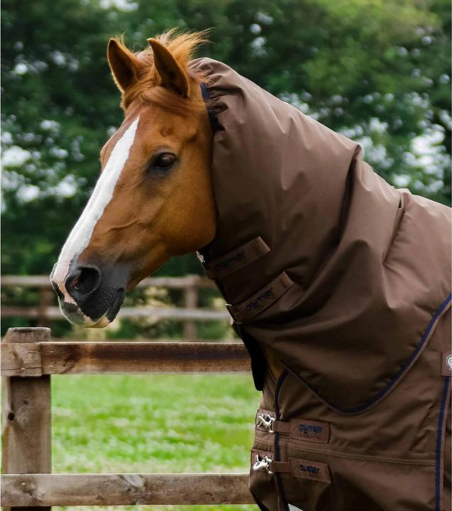 Produktbild Premier Equine Buster 400 g (213 cm)