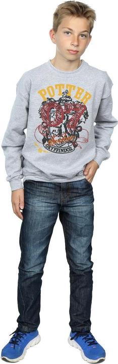 Actual product image Boys Gryffindor Seeker Sweatshirt (152, 158)