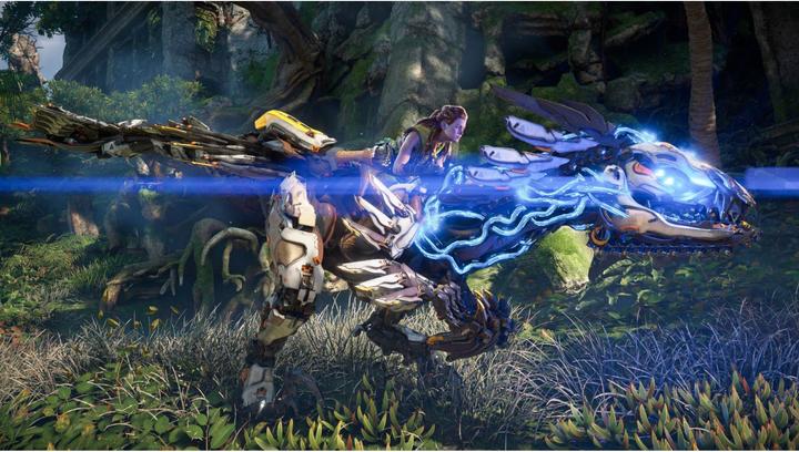 Image du produit Sony Horizon Forbidden West (PS5, EN)