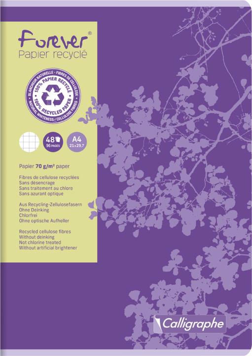 Actual product image Calligaphe Forever papier recyclé (A4, Checked)