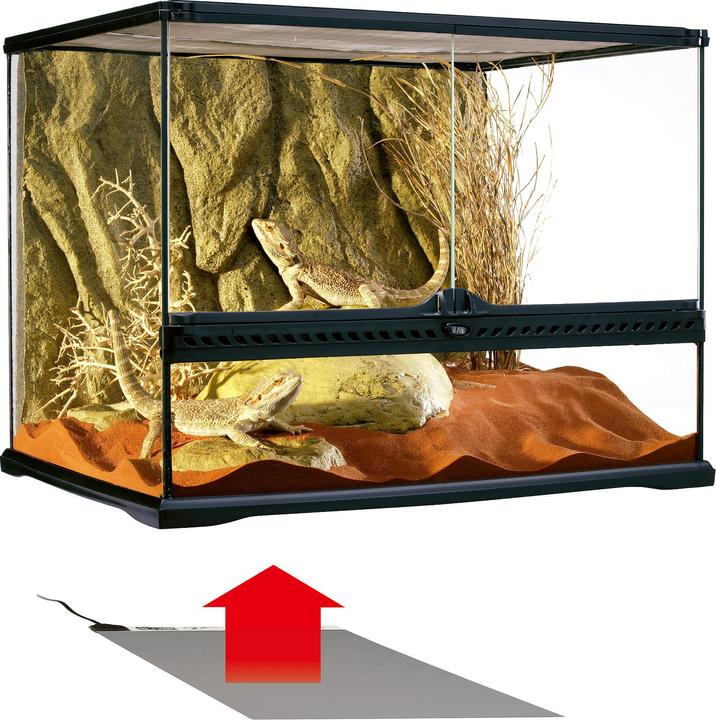 Image du produit Exo Terra Désert (8 W)