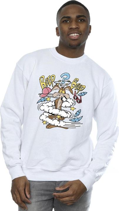 Produktbild Looney Tunes Coyote Daze Sweatshirt (L)