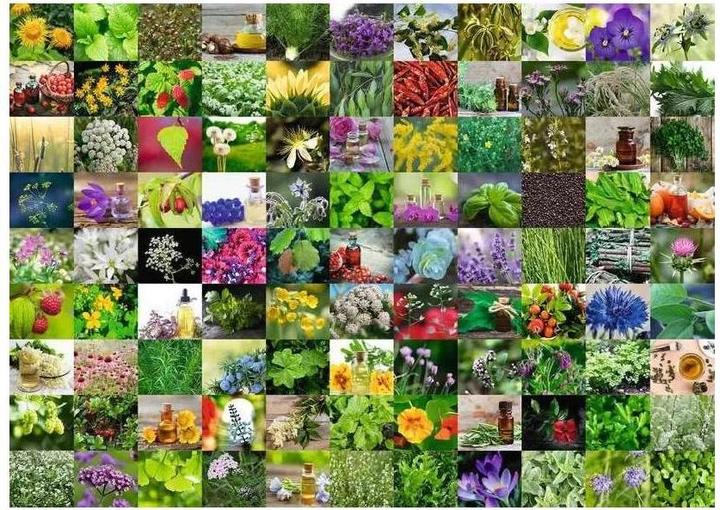 Actual product image Ravensburger 99 Herbs and spices (1000 pieces)