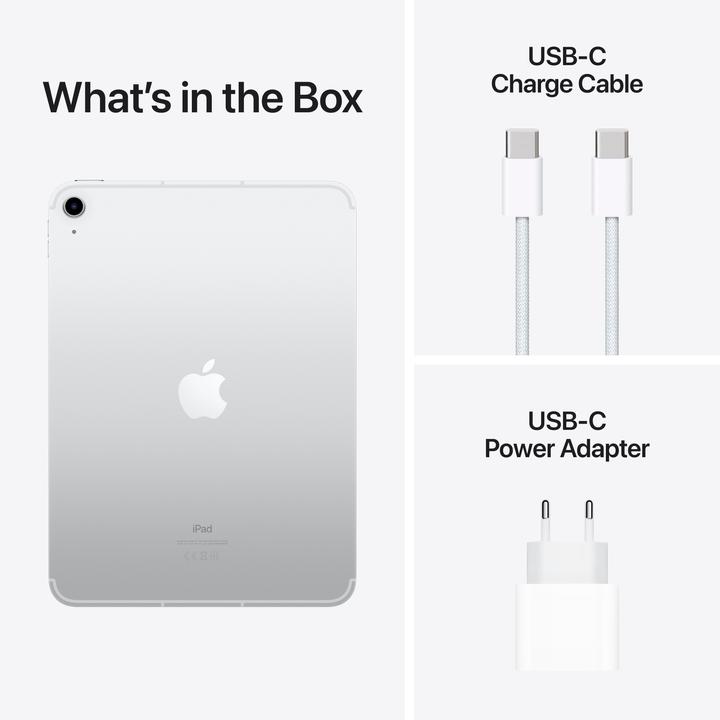 Produktbild Apple iPad 2022 (10. Gen) (5G, 10.90", 256 GB, Silver)
