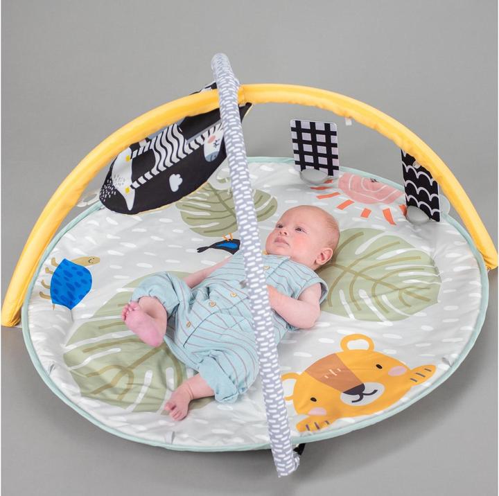 Actual product image Taf Toys Savannah