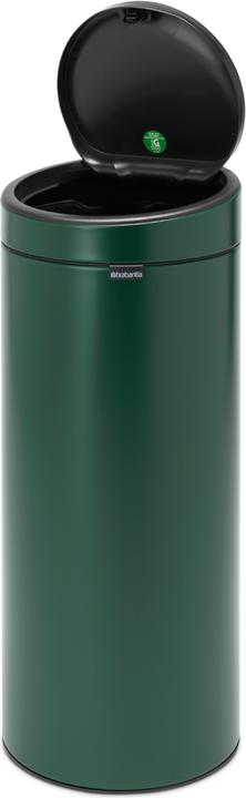 Pine Green