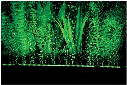 Actual product image Hobby Bubble Air LED Air Curtain (LED, 4 W)