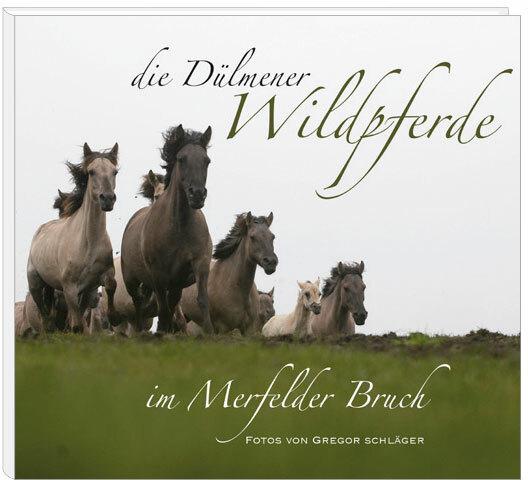Produktbild Die Dülmener Wildpferde im Merfelder Bruch (Deutsch, Julia Maas, Gregor Schläger, Jörg Gierse, 2009)