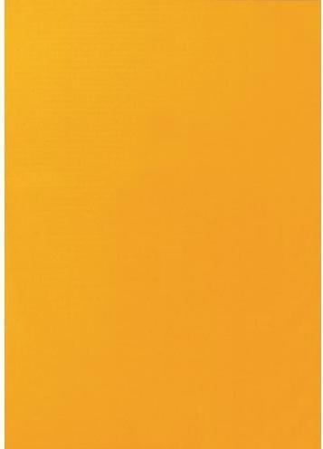 Actual product image Markenlos Warning labels R85-25540OE A4 Orange