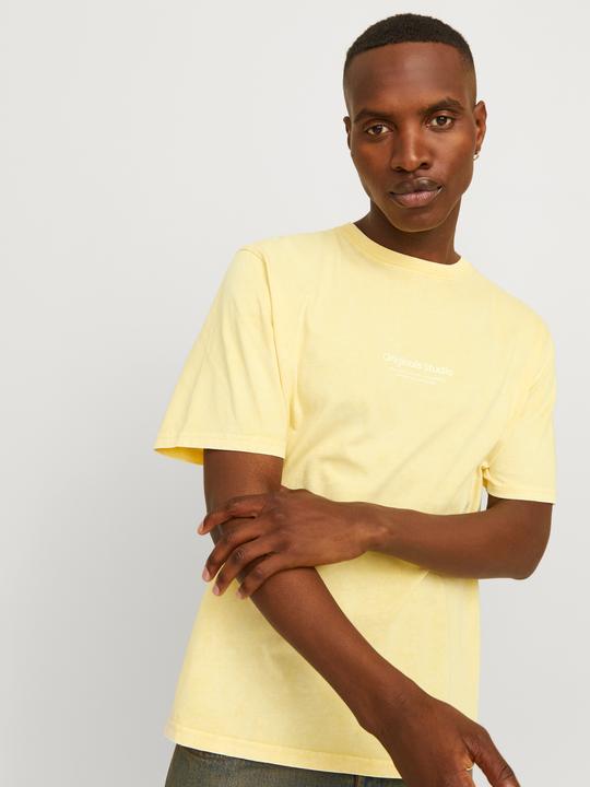 Immagine prodotto Jack & Jones T-shirt stampata con scollo rotondo (XS)
