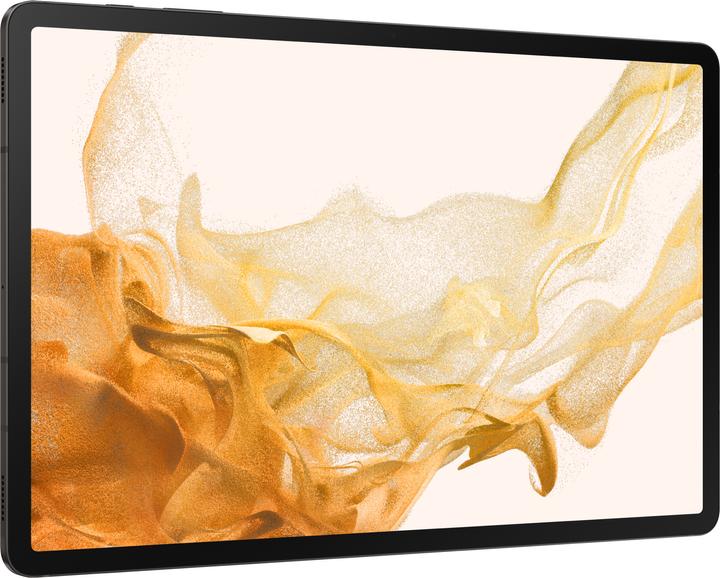 Actual product image Samsung Galaxy Tab S8+ (WLAN only, 12.40", 128 GB, Graphites)