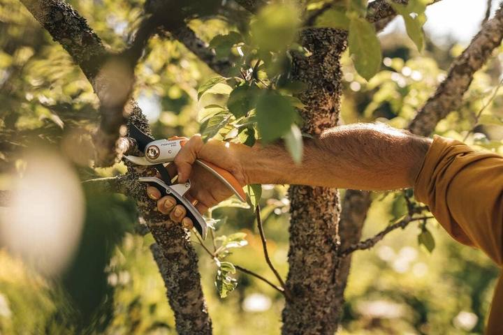Actual product image Fiskars Plus PowerLever metal secateurs with folding blade (P751)
