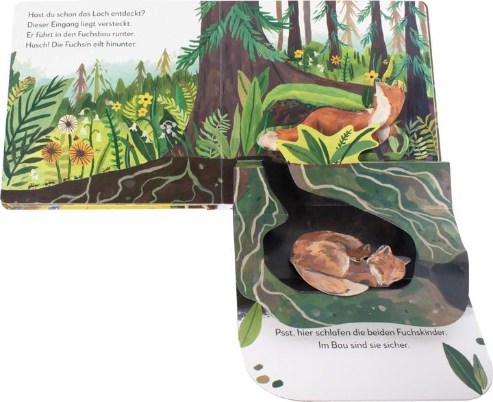 Produktbild Mein Pop-up-Buch zum Staunen. Wer lebt im Wald? (Deutsch)