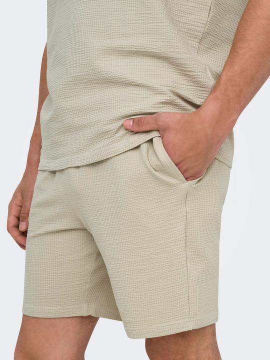 Produktbild Only & Sons Onskian Reg Seersucker Shorts (L)