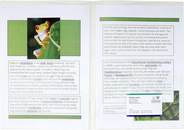Actual product image Exacompta Presentation folders (A3, 1 x)