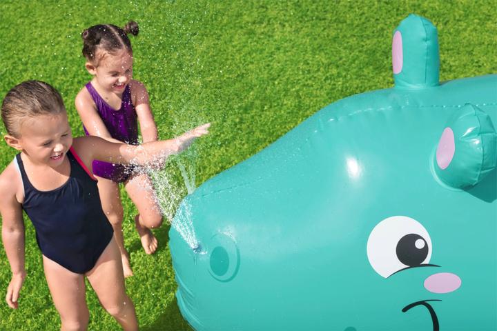 Actual product image Bestway Hippo