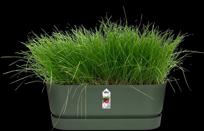 Image du produit Elho Greenville (20 cm)
