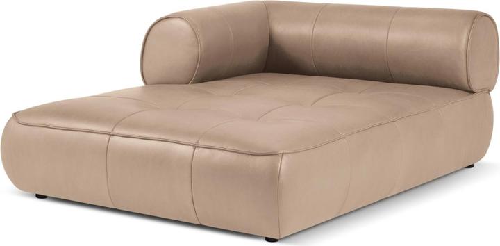 Dark Beige
