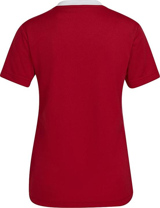 Immagine prodotto adidas Camicia da calcio Entrada 22 Donna (S)