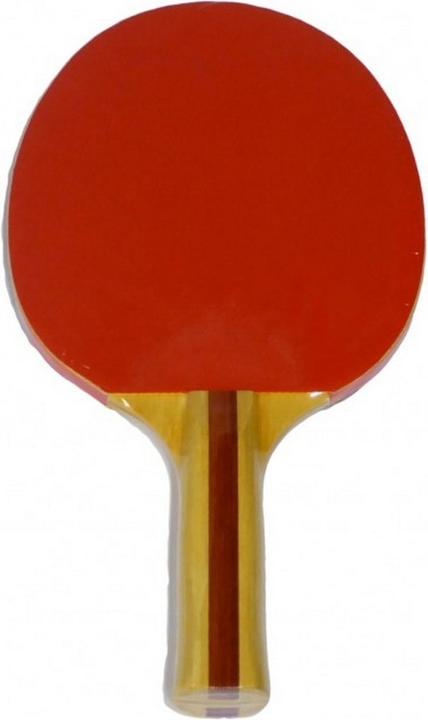 Lion Reversetischtennisschläger 120