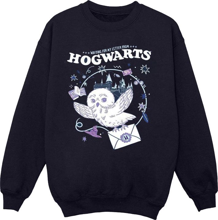 Produktbild Owl Letter From Hogwarts Sweatshirt Mädchen (140, 146)