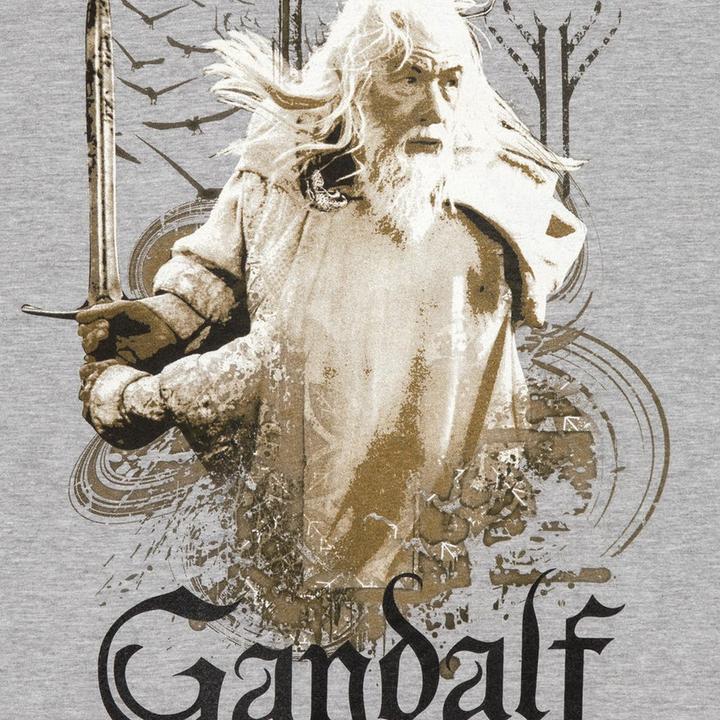 Actual product image Lord of the rings Tshirt (S)