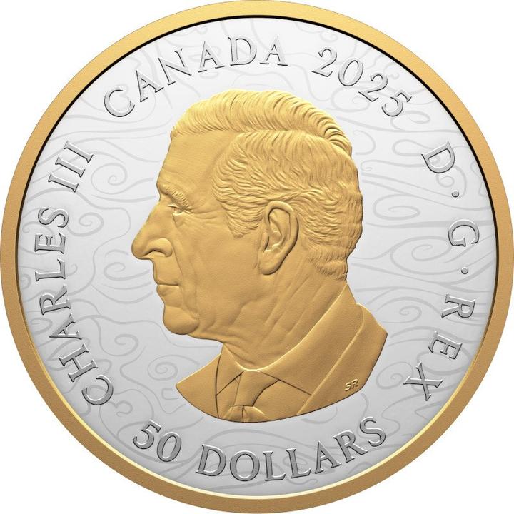 Image du produit Royal Canadian Mint Silber Water Dragon 5 oz PP - Teilvergoldet 2025 (999.90, 2025)