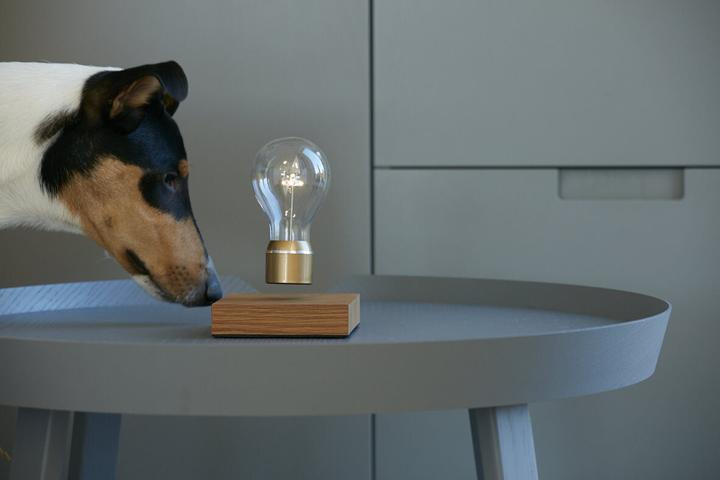 Actual product image Flyte Lamp Nikola Levitation (60 lm)