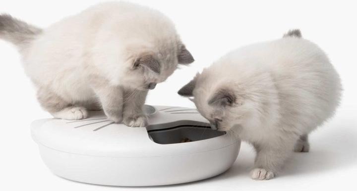 Actual product image Catit Pixi (1.02 l)