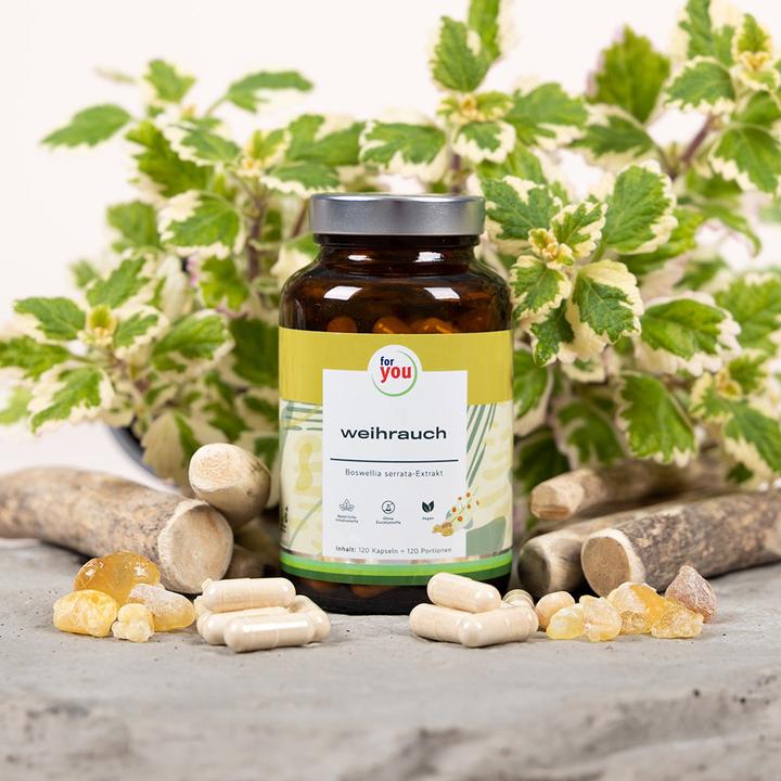 Image du produit For You encens (120 pièce(s), Capsules, 77.20 g)