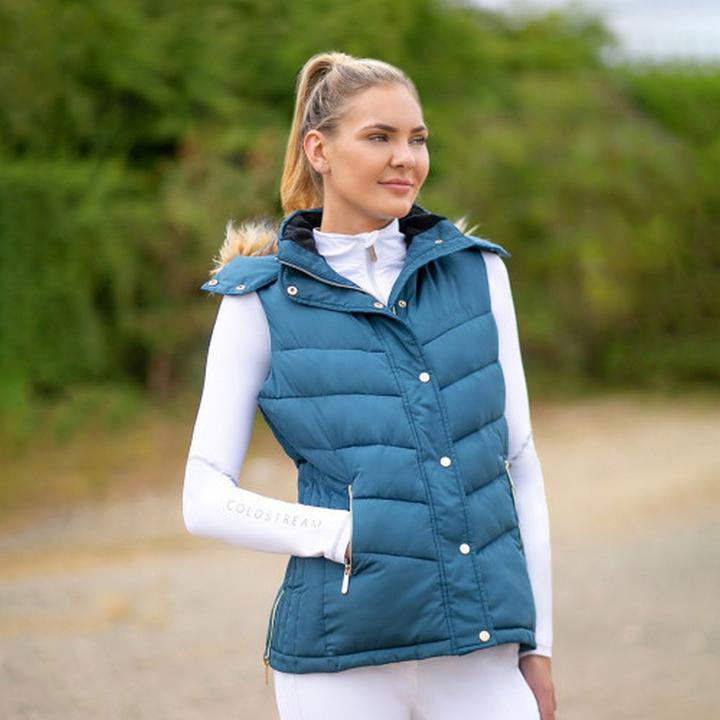 Actual product image Coldstream Womens/Ladies Leitholm Quilted Gilet (XXL)